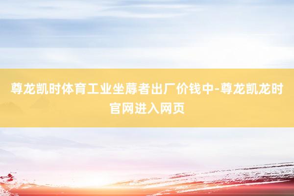 尊龙凯时体育工业坐蓐者出厂价钱中-尊龙凯龙时官网进入网页