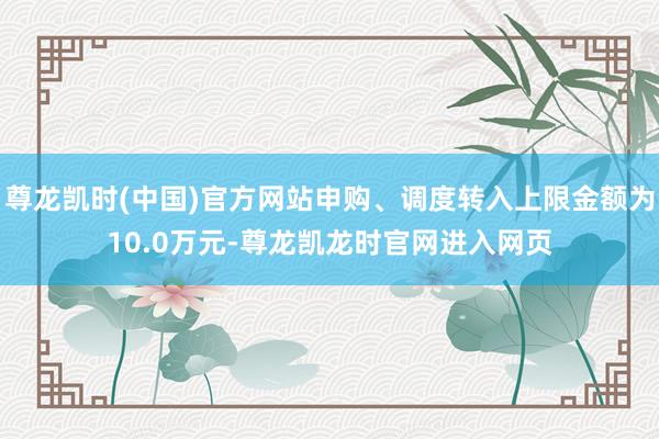 尊龙凯时(中国)官方网站申购、调度转入上限金额为10.0万元-尊龙凯龙时官网进入网页