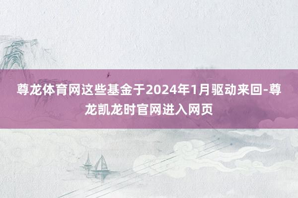 尊龙体育网这些基金于2024年1月驱动来回-尊龙凯龙时官网进入网页