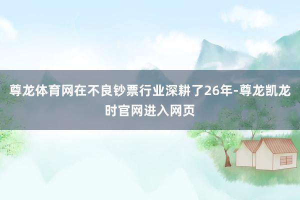 尊龙体育网在不良钞票行业深耕了26年-尊龙凯龙时官网进入网页